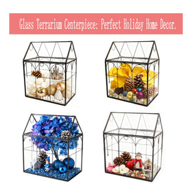 ElegantLife hinged-roof terrarium allows easy access for planting