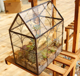 ElegantLife home office decor terrarium suitable for shelves or desks