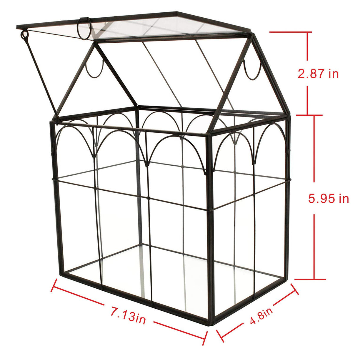 ElegantLife geometric terrarium showcases a modern succulent display