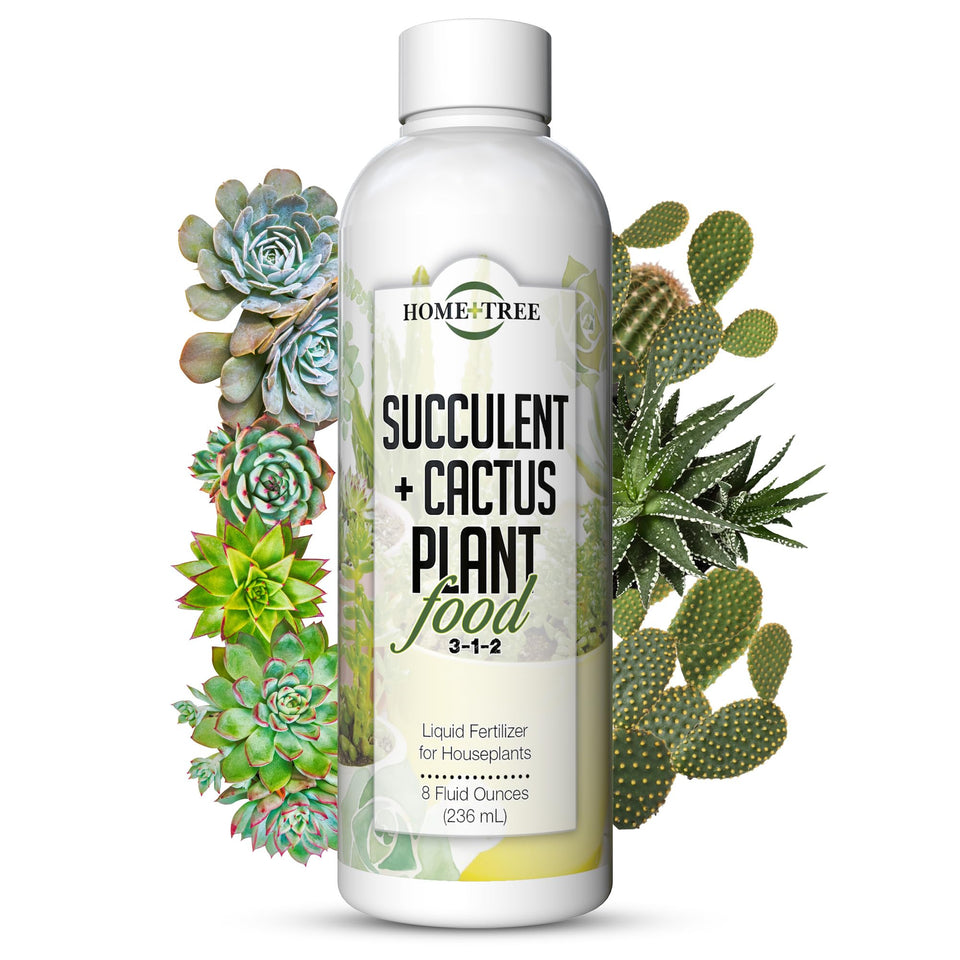 Element Nutrients succulent fertilizer bottle pour promotes healthy, vibrant succulents.