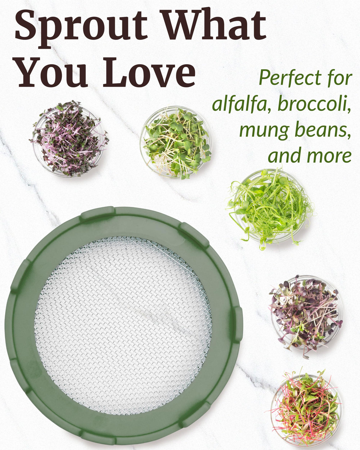 Sage green Elementi lids fit mason jars for easy sprout cultivation