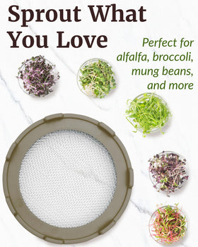 Elementi BPA-free plastic lids keep seeds secure while promoting safe sprouting in any jar.