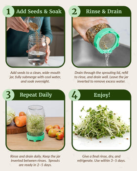 Elementi sprouting lid close-up reveals fine mesh and airflow for seeds