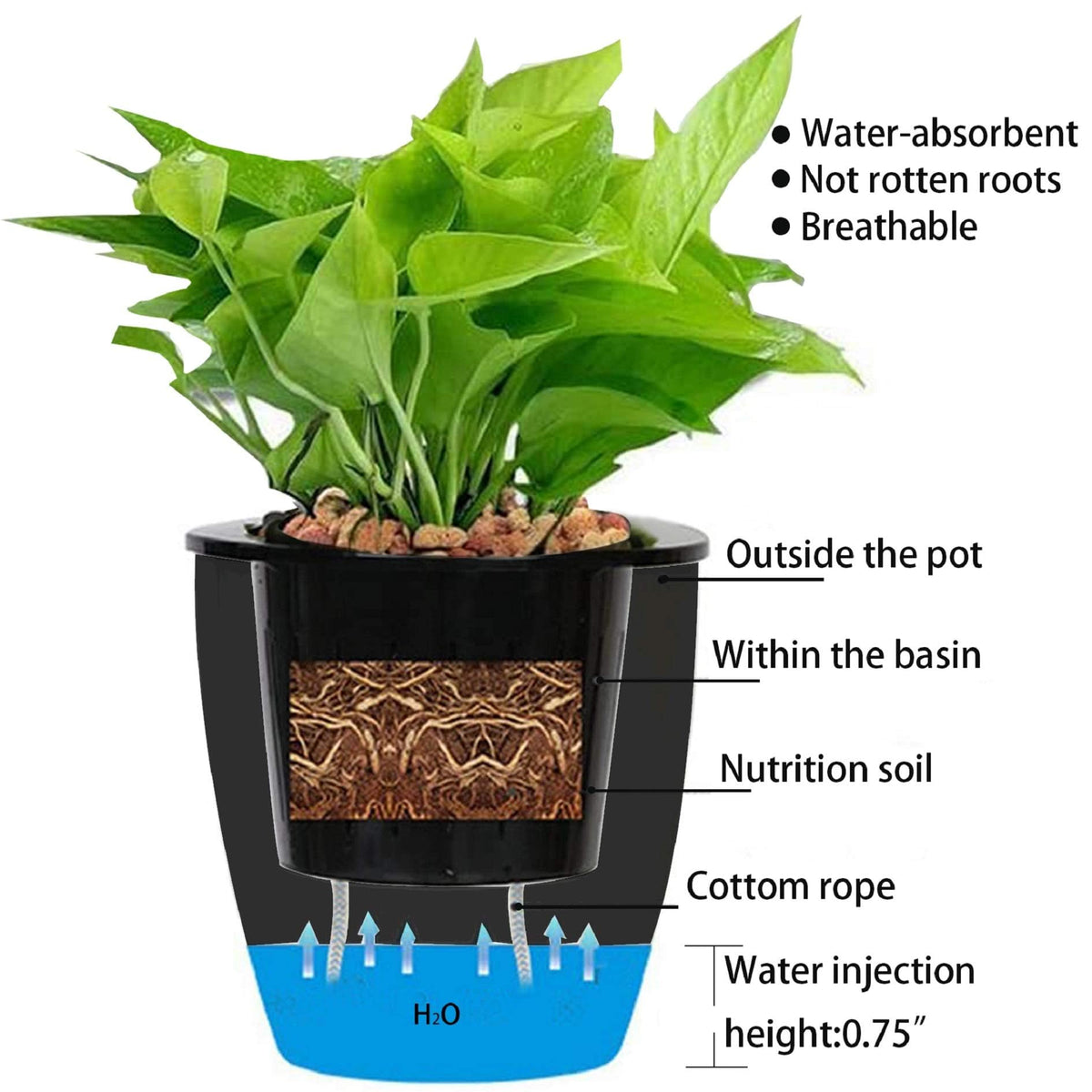 Elfinrm 7Pack in use on wall illustrates compact, organized plant display.