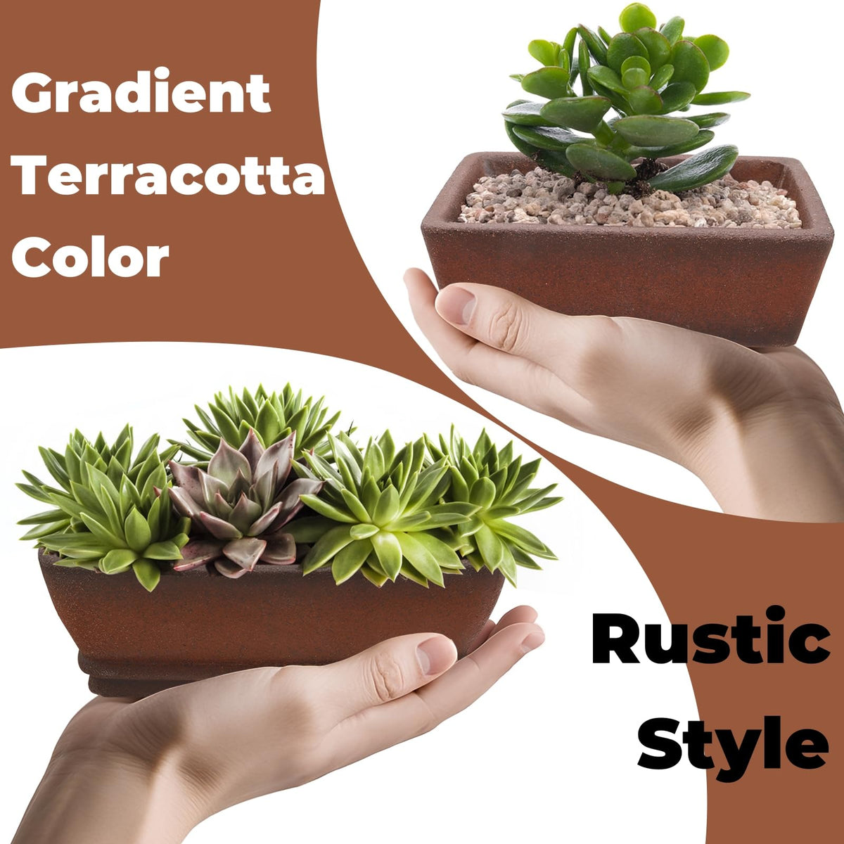 ELFULLY drainage tray included for tidy indoor or outdoor bonsai setups