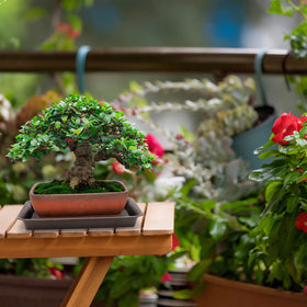 ELFULLY unglazed Zisha clay construction provides durable rustic charm