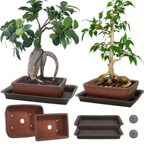 ELFULLY 6-inch rectangle ceramic bonsai pot with unglazed finish for breathable roots