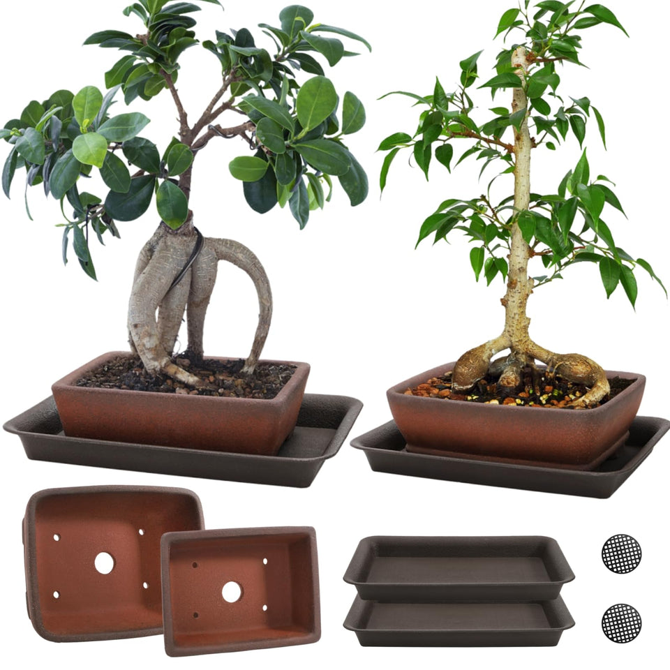 ELFULLY 6-inch rectangle ceramic bonsai pot with unglazed finish for breathable roots