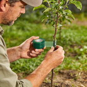Elitekwell grafting tape is self-adhesive and easy to apply on plants.