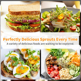Elitrivox broccoli sprouts in use show crisp, flavorful greens.