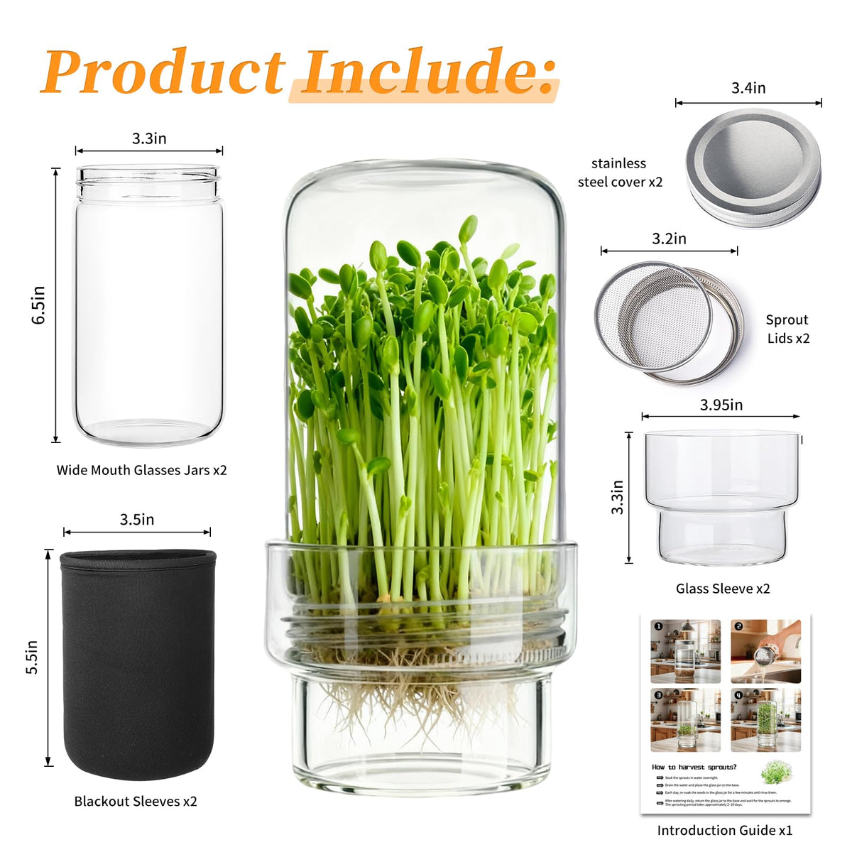 Elitrivox stainless lids ensure secure, food-grade sprouting sessions.