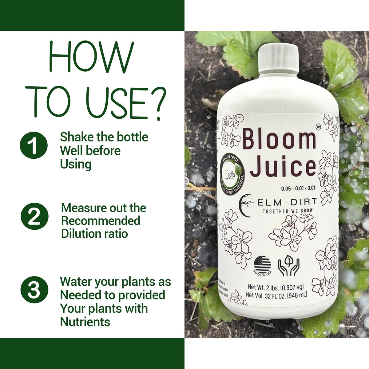 Elm Dirt Bloom Juice flowering-plants in bed illustrate abundant blooms and healthy stems.