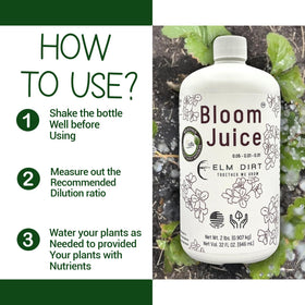 Elm Dirt Bloom Juice flowering-plants in bed illustrate abundant blooms and healthy stems.
