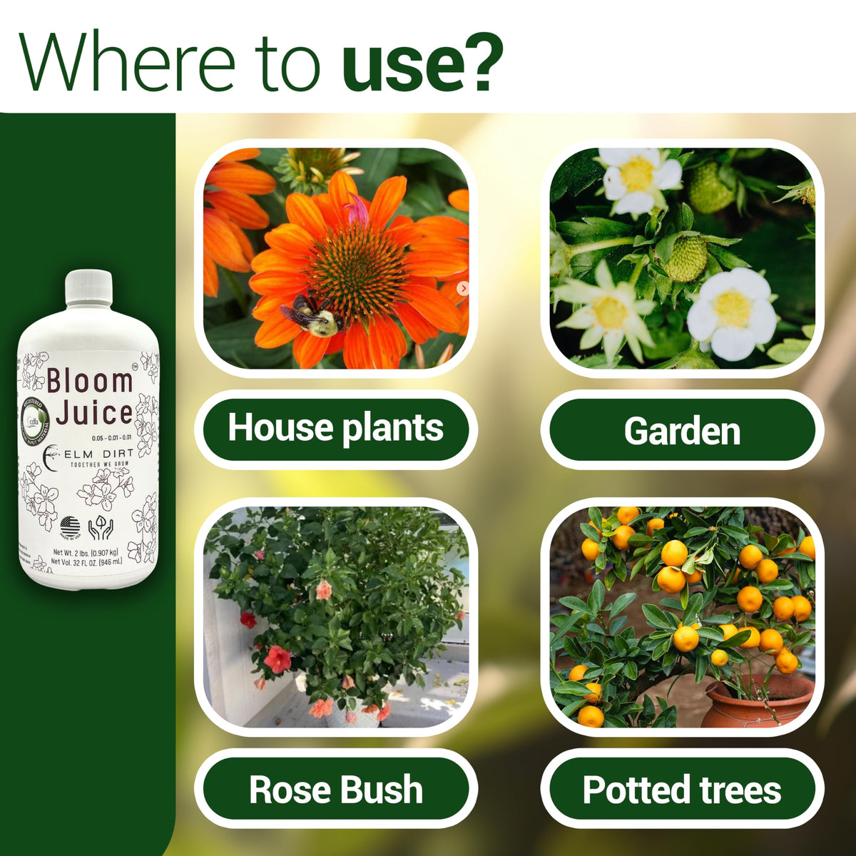 Elm Dirt Bloom Juice organic-formula label emphasizes sustainable, plant-friendly nutrition.