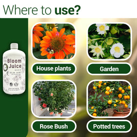 Elm Dirt Bloom Juice organic-formula label emphasizes sustainable, plant-friendly nutrition.
