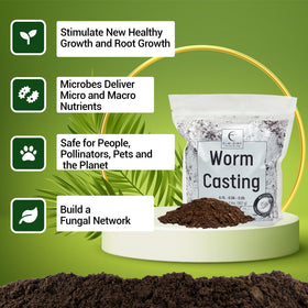 Elm Dirt Garden bed application nourishes root zones and soil structure.