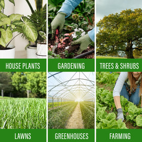 Indoor plants with lush green leaves benefiting from foliar spray application.