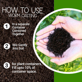 Elm Dirt Worm Castings soil tea boosts microbial activity for nutrient access.