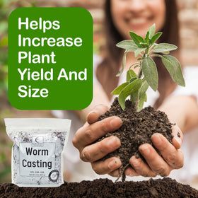 Elm Dirt Worm Castings seedling growth supports sturdier starts for indoor gardening.