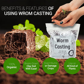 Elm Dirt Worm Castings pour demonstrates easy indoor application to potted plants.