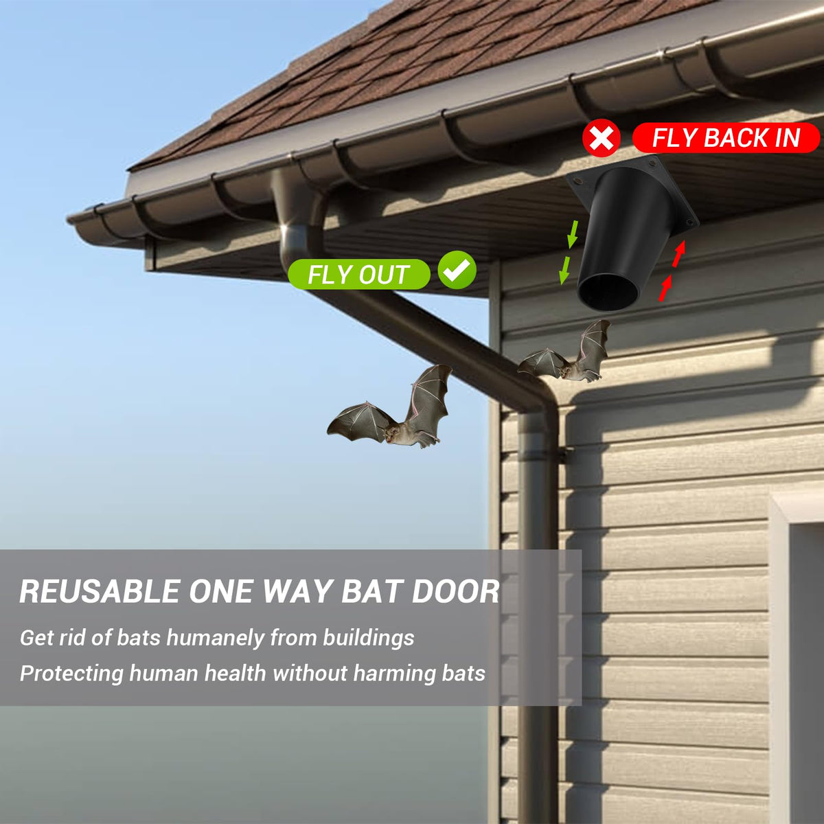 Elspezi bat exclusion device installed in attic for humane bat removal