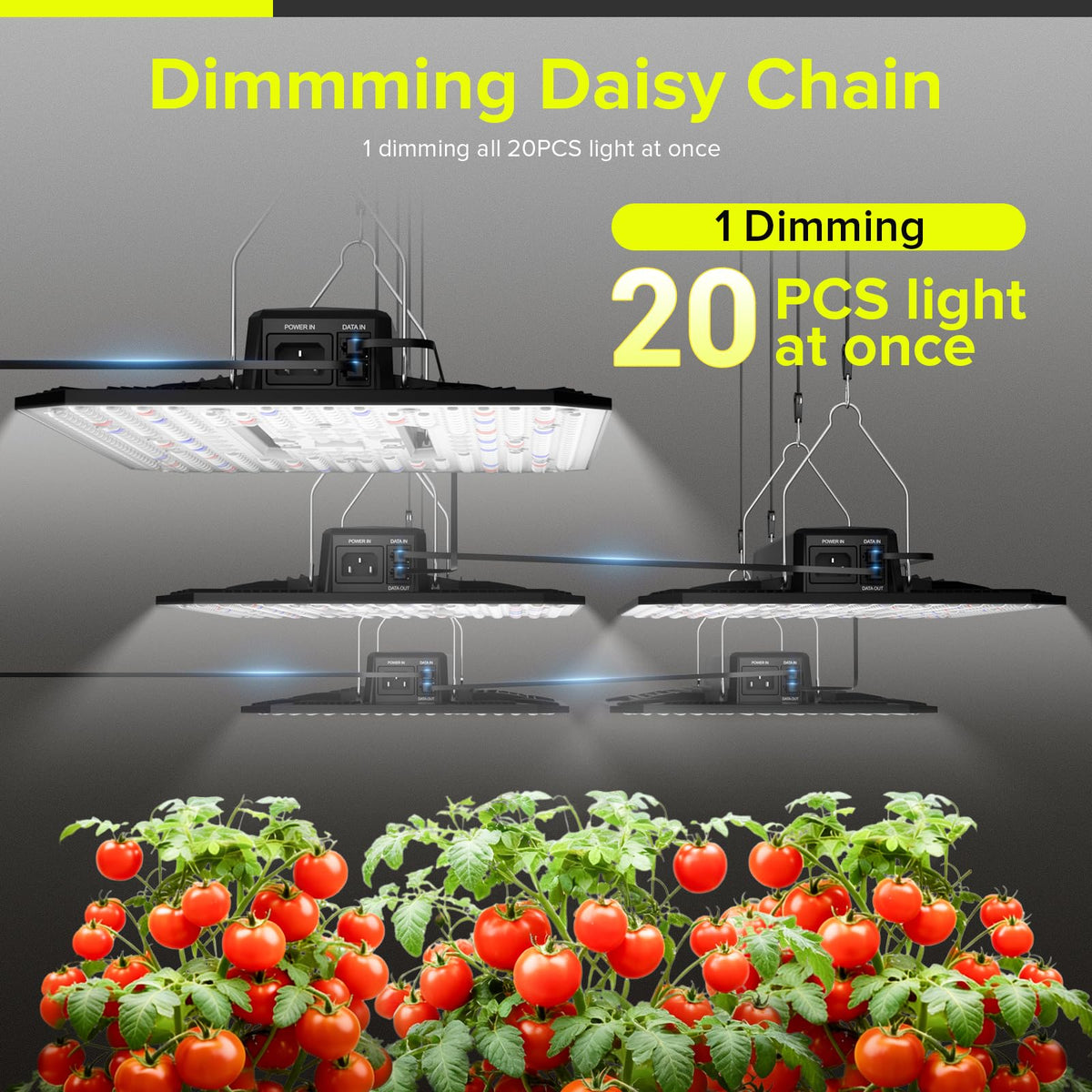 ELUFAH UAP1200 3-year warranty and support available