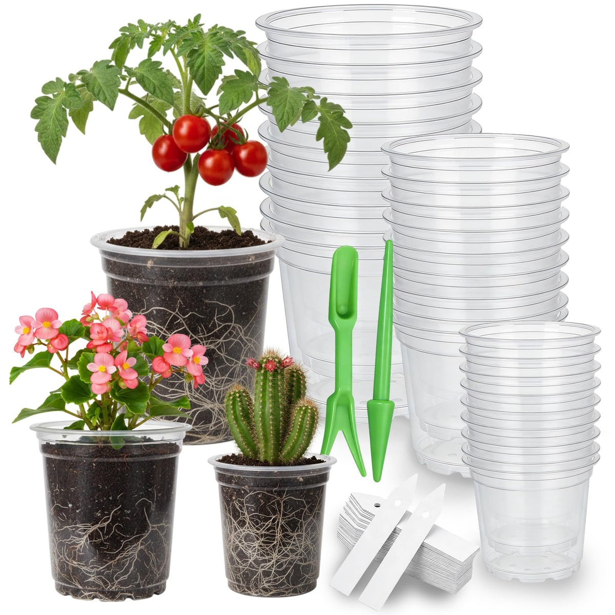 Embrasun clear nursery pot 3-5in view for easy root monitoring and watering cues.