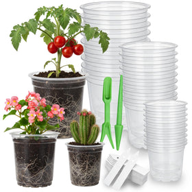 Embrasun clear nursery pot 3-5in view for easy root monitoring and watering cues.