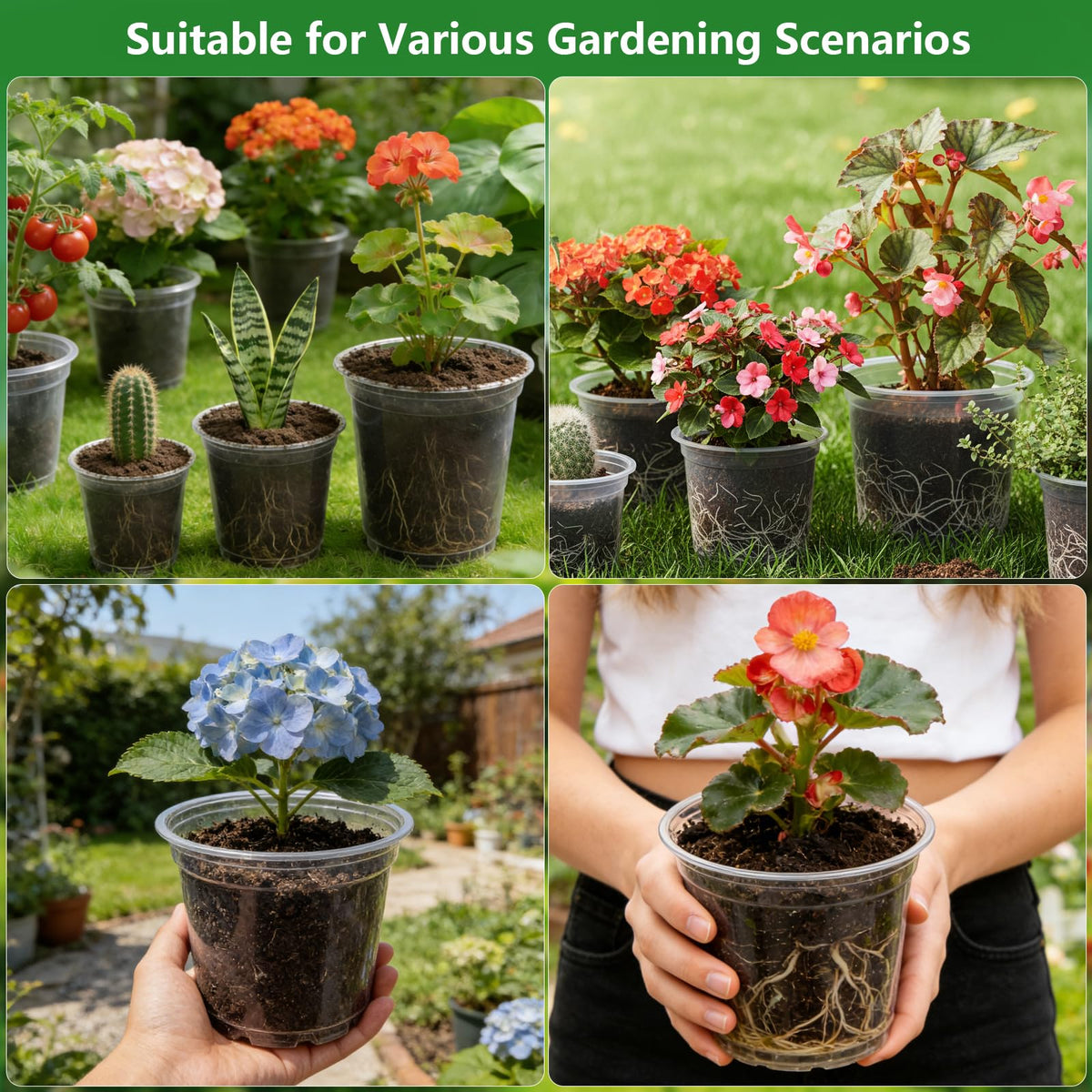 Embrasun seedling transplant tool included for easier plant transfers.