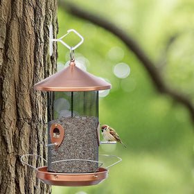 Emiluil versatile hanging solution for plants, chimes, and decor.