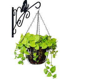EMPHY 4Pack 24-inch chain for wind chimes, four-lead design distributes weight