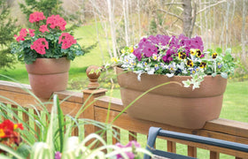 EMSCO Bloomers flowers on balcony illustrates quick, accessible container gardening