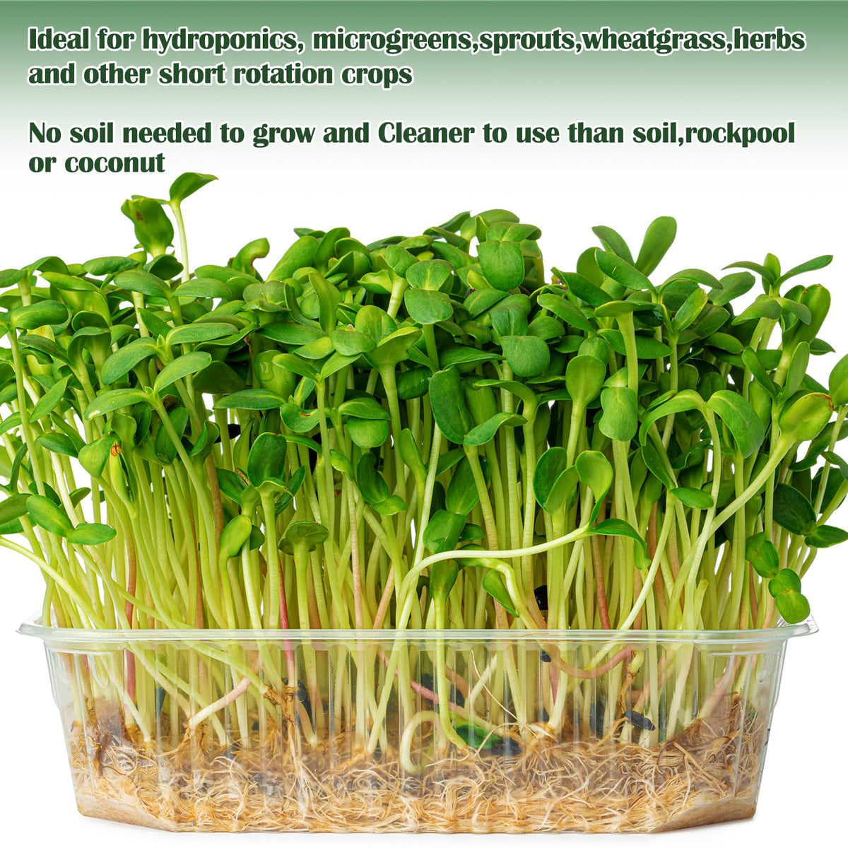 Emsiok indoor hydroponic microgreens kit supports quick, clean harvests.