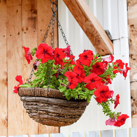 ENATECLITE DIY decoration painting option shown for customized color.