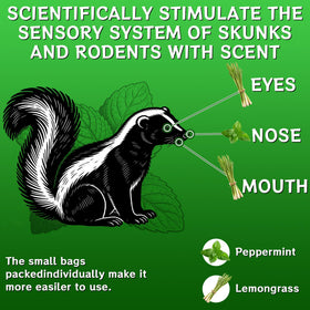 Enbabbor indoor-outdoor rodent repellent keeps kitchens and campsites mouse-free with peppermint aroma