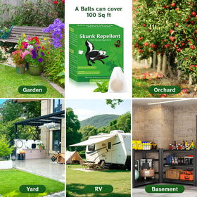 Enbabbor mint aroma pest deterrent provides pleasant scent while discouraging pests