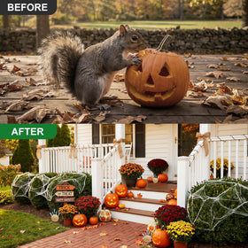 Enbabbor wildlife deterrent balls deliver steady protection across outdoor surfaces and planters