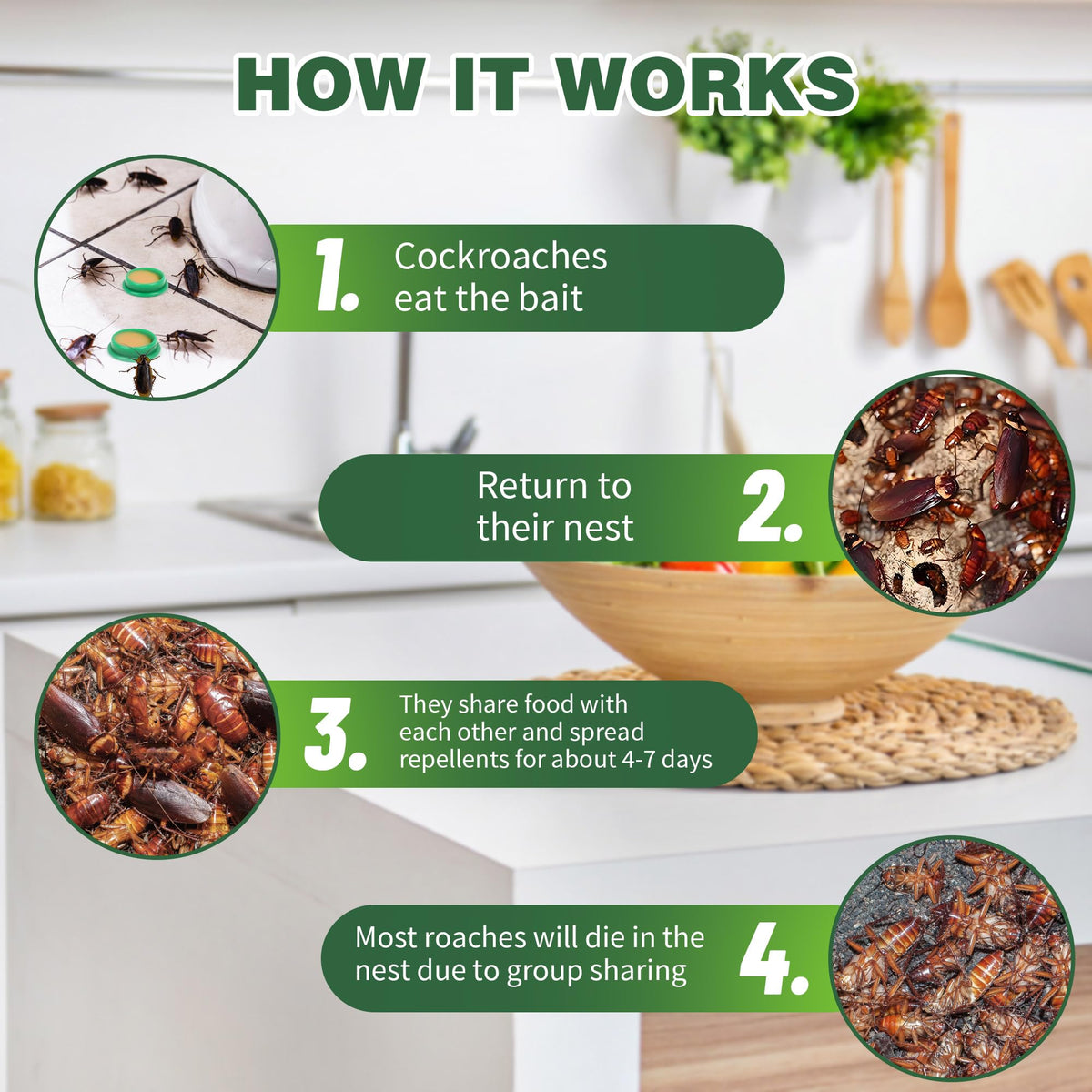 Enbabbor Roach Killer Gel Trap Indoor highlights simple, mess-free placement near entryways.