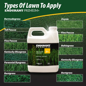 Endurant green lawn dye on patchy yard delivers vibrant, even color.
