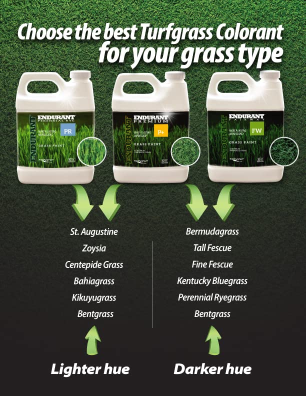 Endurant long-lasting lawn color up to 3 months on treated areas.