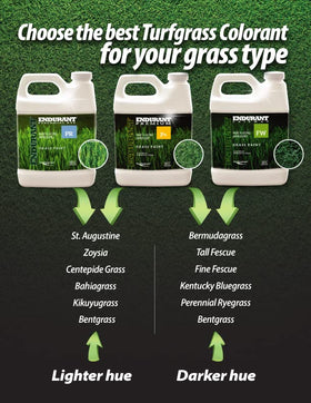 Endurant long-lasting lawn color up to 3 months on treated areas.