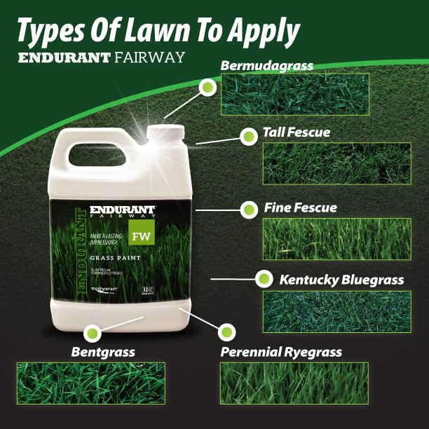 Endurant Turf Colorants close-up grass density highlighting lush green color.
