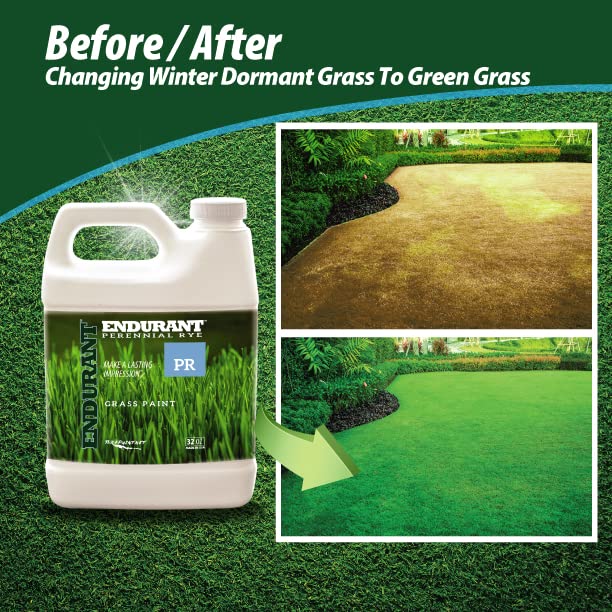 Endurant Turf Colorants concentrated lawn dye being mixed for 8 oz to 1 gallon use