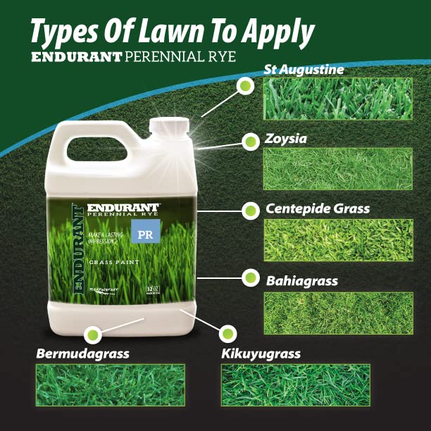 Endurant Turf Colorants pet-friendly green lawn paint applied on grass near pets