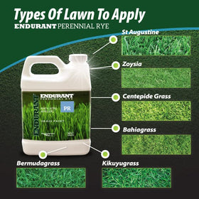 Endurant Turf Colorants pet-friendly green lawn paint applied on grass near pets