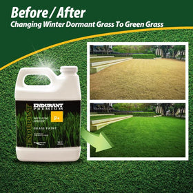 Endurant Turf Colorants spray-ready for effortless, uniform lawn coverage.