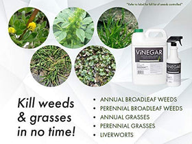 Energen Vinegar Weed Killer applied on driveway for quick results