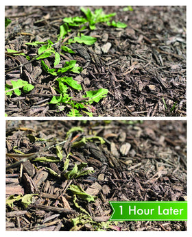 Energen garden-ready bottle beside a lush green lawn