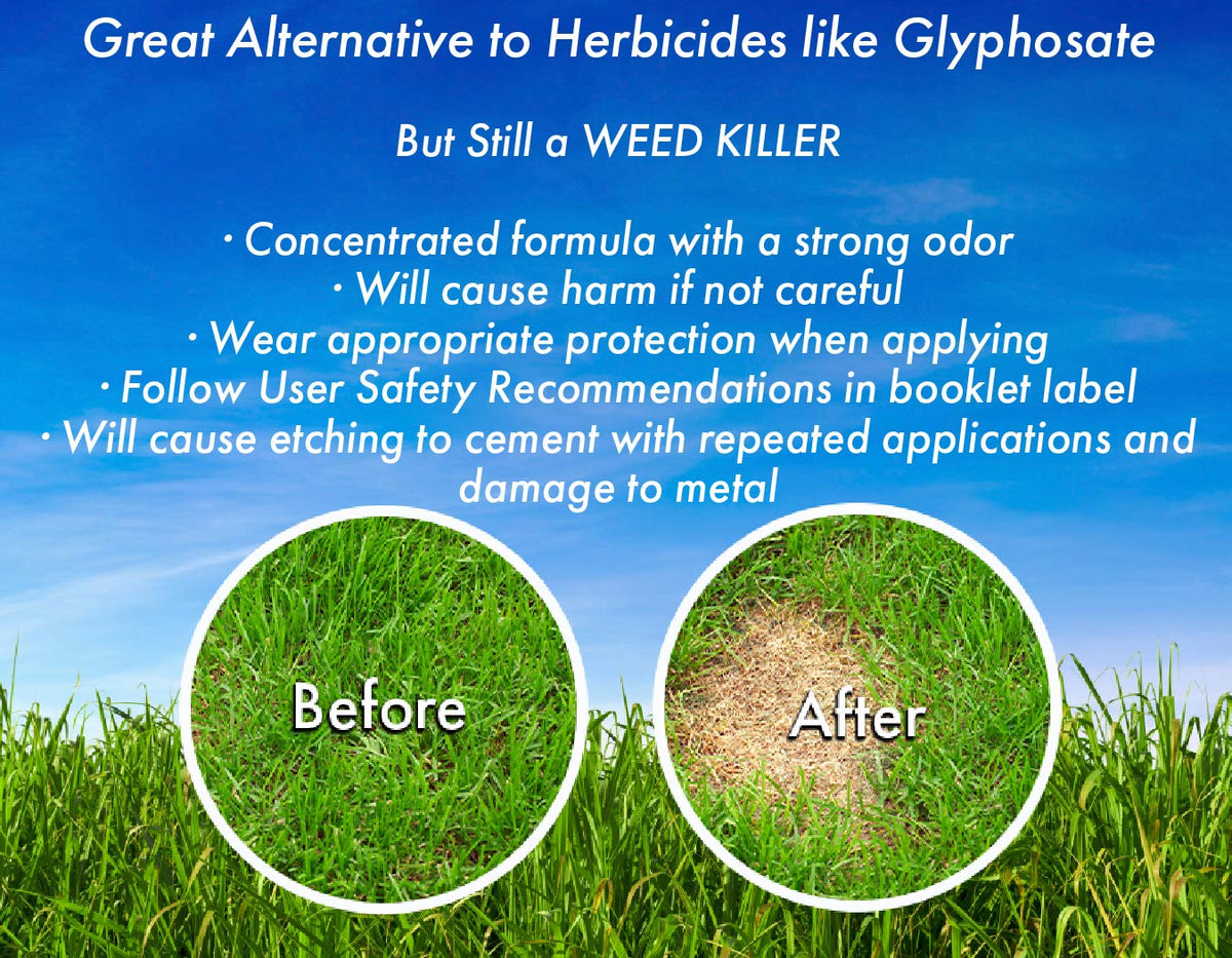 Energen Vinegar Weed Killer treats mulch beds and flower borders