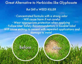 Energen Vinegar Weed Killer treats mulch beds and flower borders